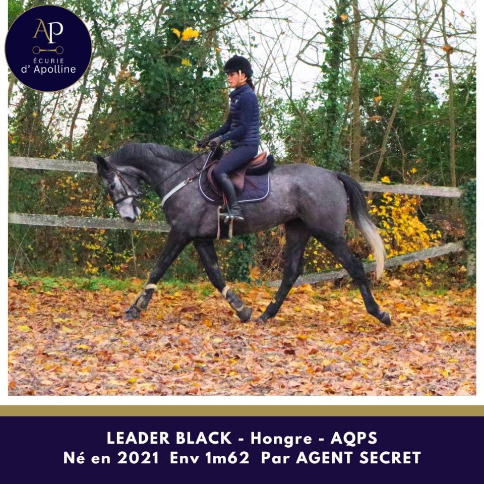 AQPS 4 ans locomotion plaisante mod&egrave;le plaisant