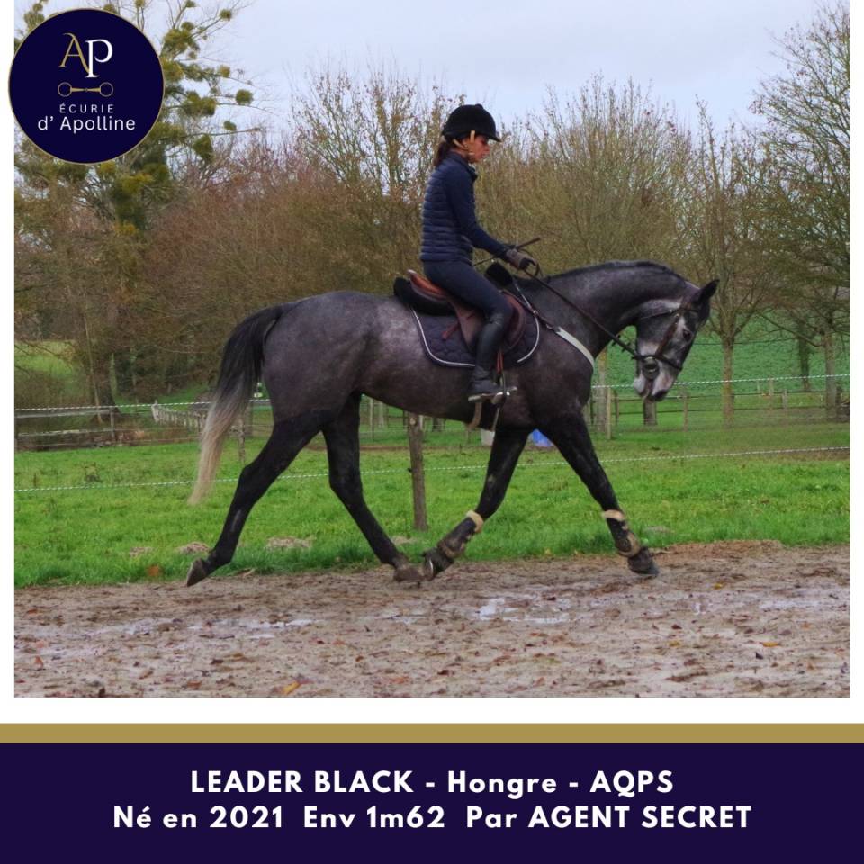 AQPS 4 ans locomotion plaisante mod&egrave;le plaisant