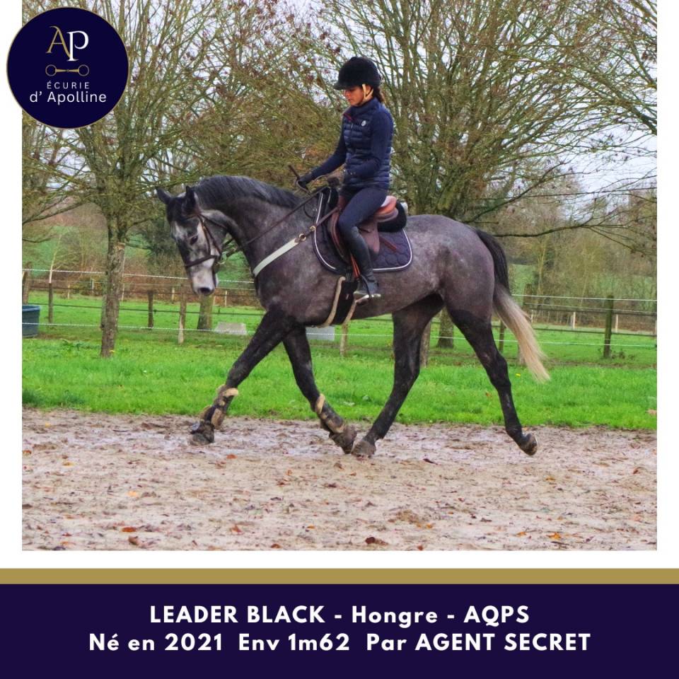 AQPS 4 ans locomotion plaisante mod&egrave;le plaisant