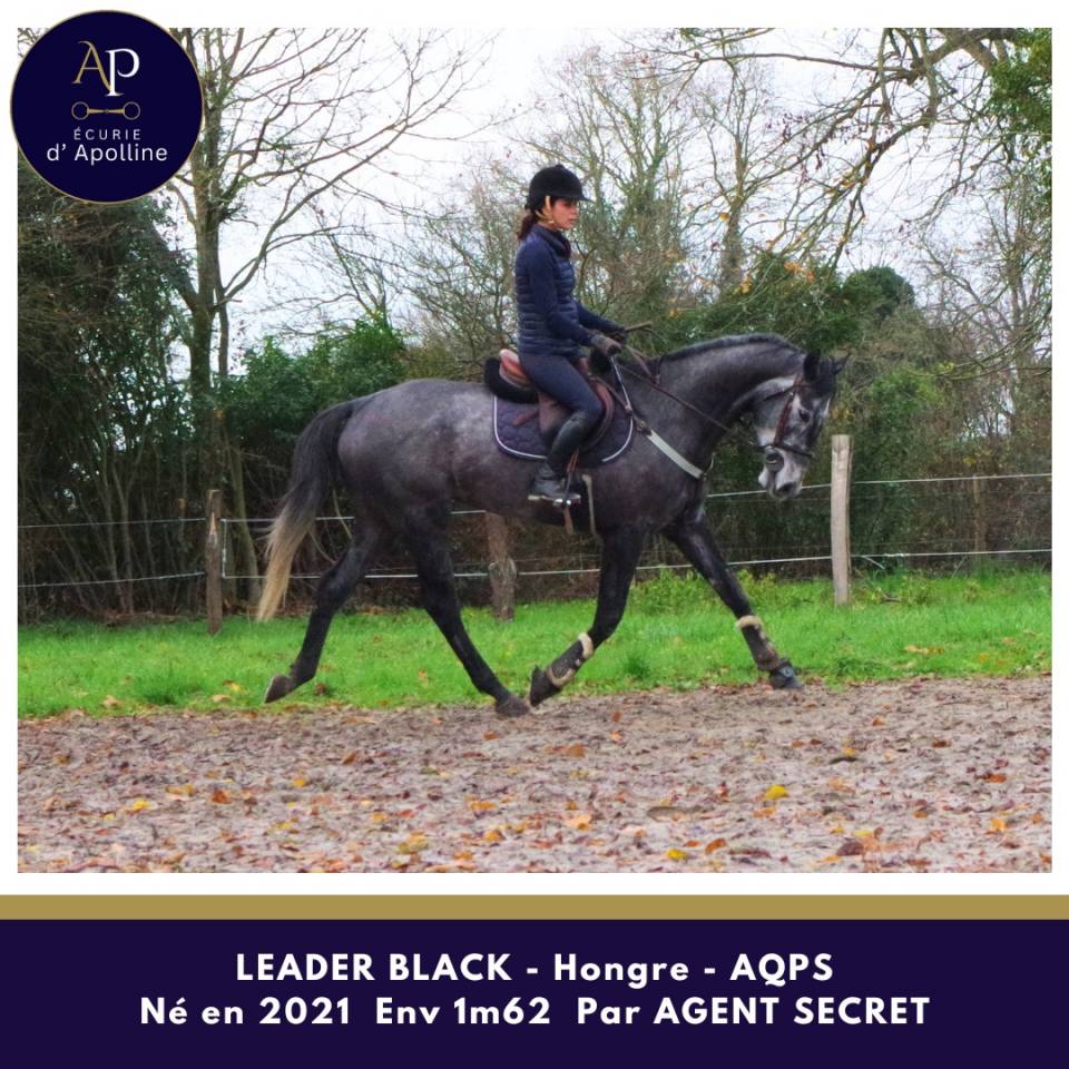 AQPS 4 ans locomotion plaisante mod&egrave;le plaisant