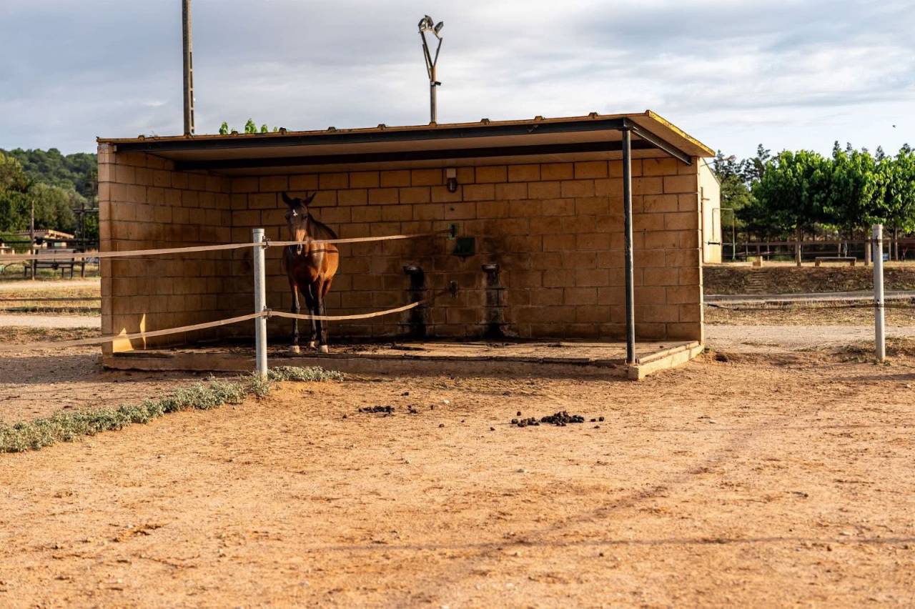 Finca de 3,5 hectares en Espagne 