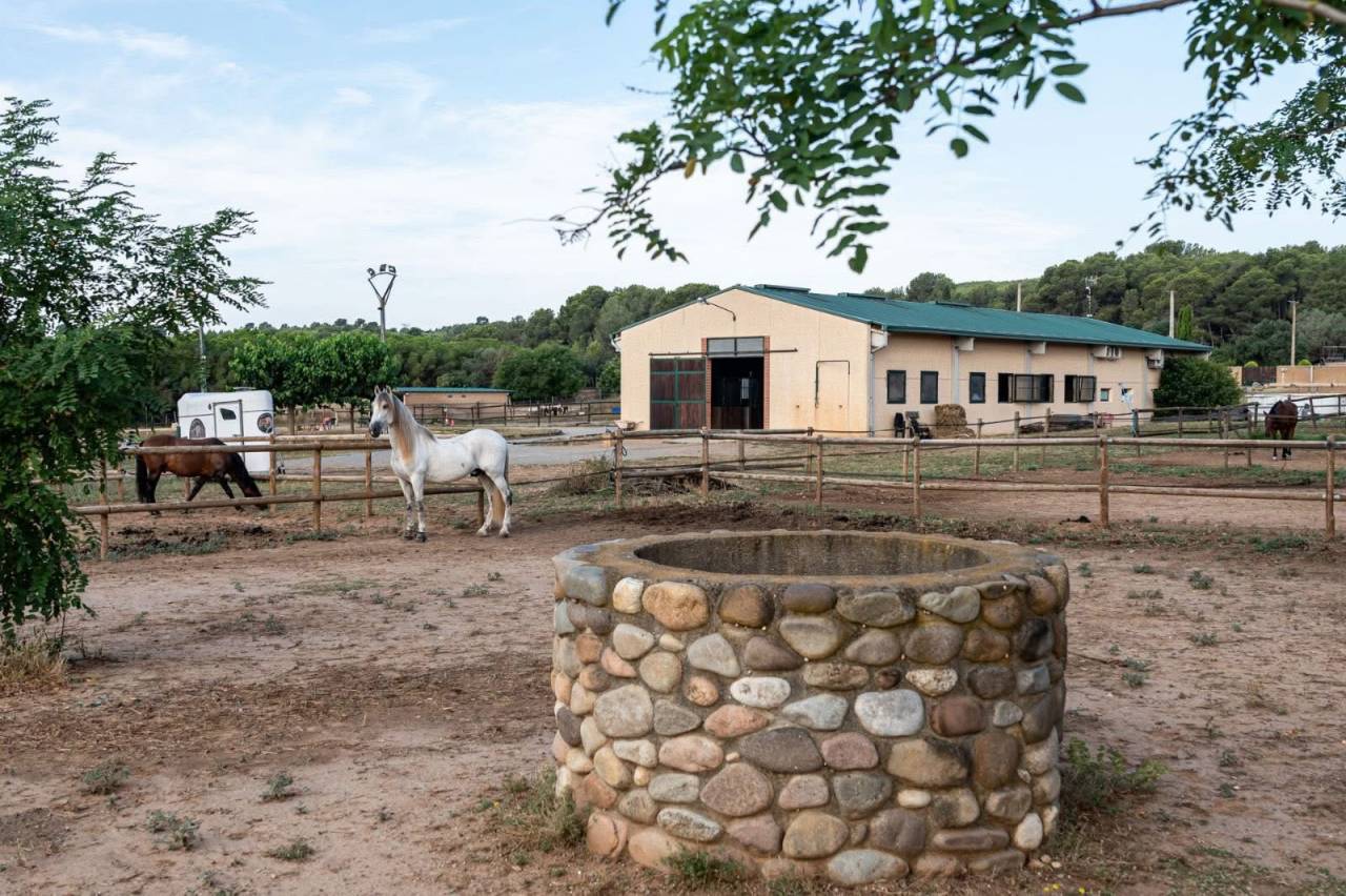 Finca de 3,5 hectares en Espagne 