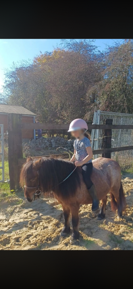 Demi pension shetland 