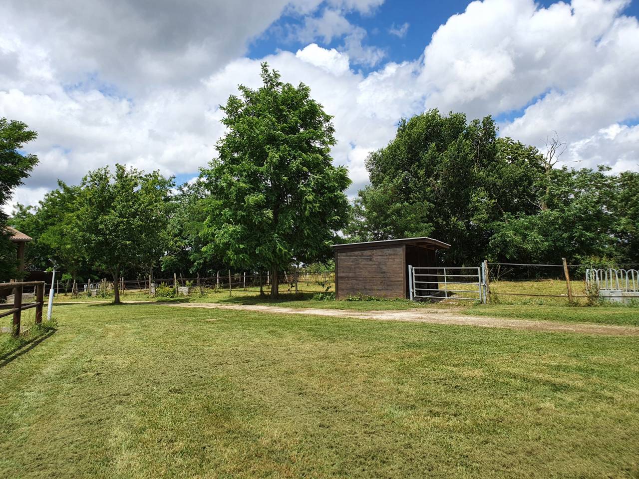 Propri&eacute;t&eacute; &Eacute;questre d&rsquo;Exception sur 2 Hectares