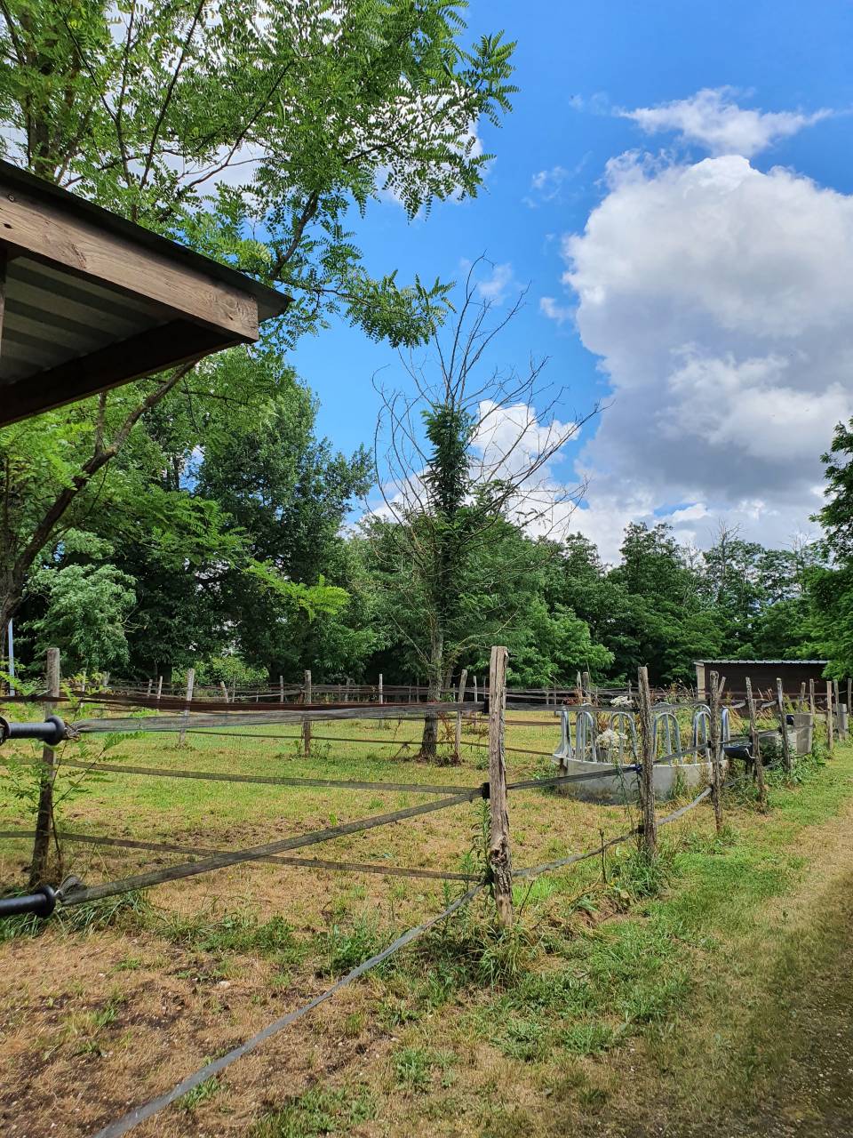 Propri&eacute;t&eacute; &Eacute;questre d&rsquo;Exception sur 2 Hectares