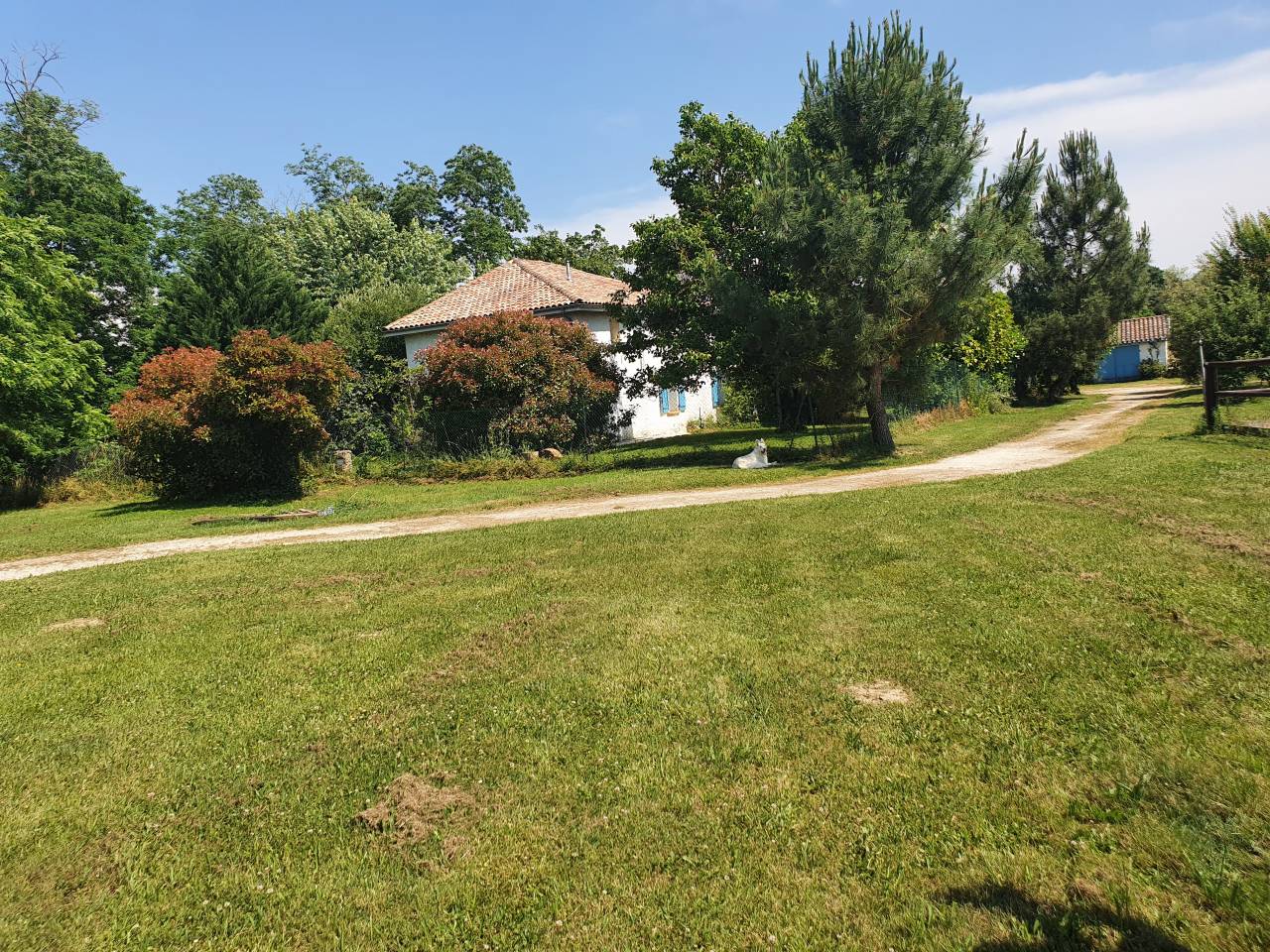 Propri&eacute;t&eacute; &Eacute;questre d&rsquo;Exception sur 2 Hectares