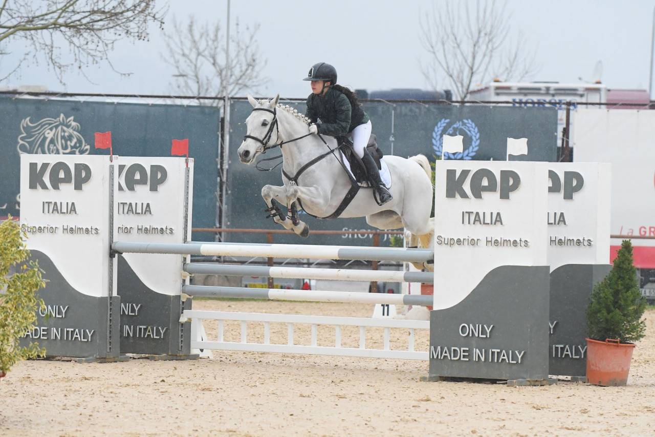 Jument Connemara A vendre 2018 Gris par GENTLE CHARLIE