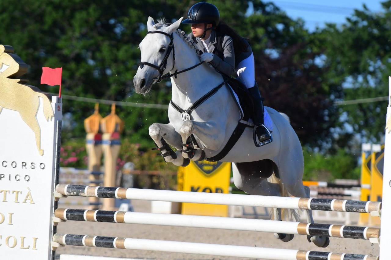 Jument Connemara A vendre 2018 Gris par GENTLE CHARLIE