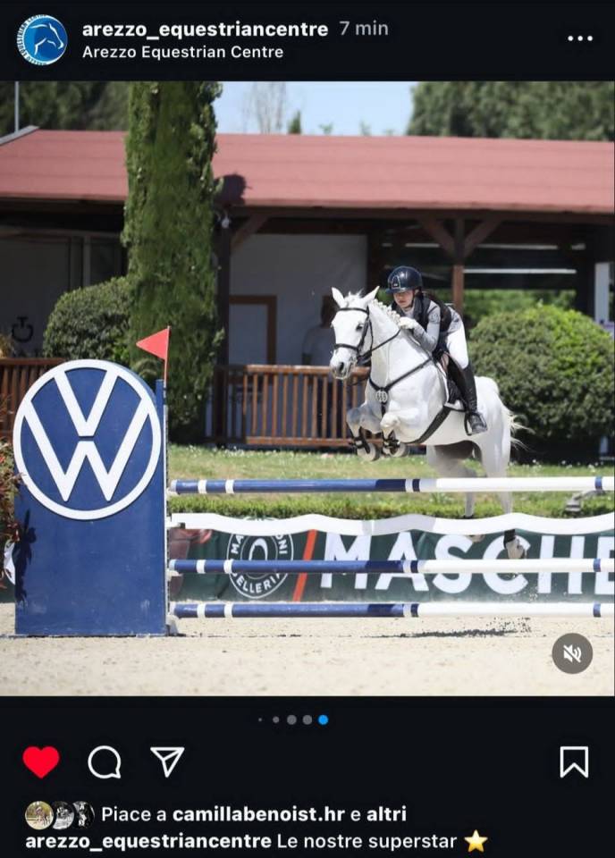 Jument Connemara A vendre 2018 Gris par GENTLE CHARLIE