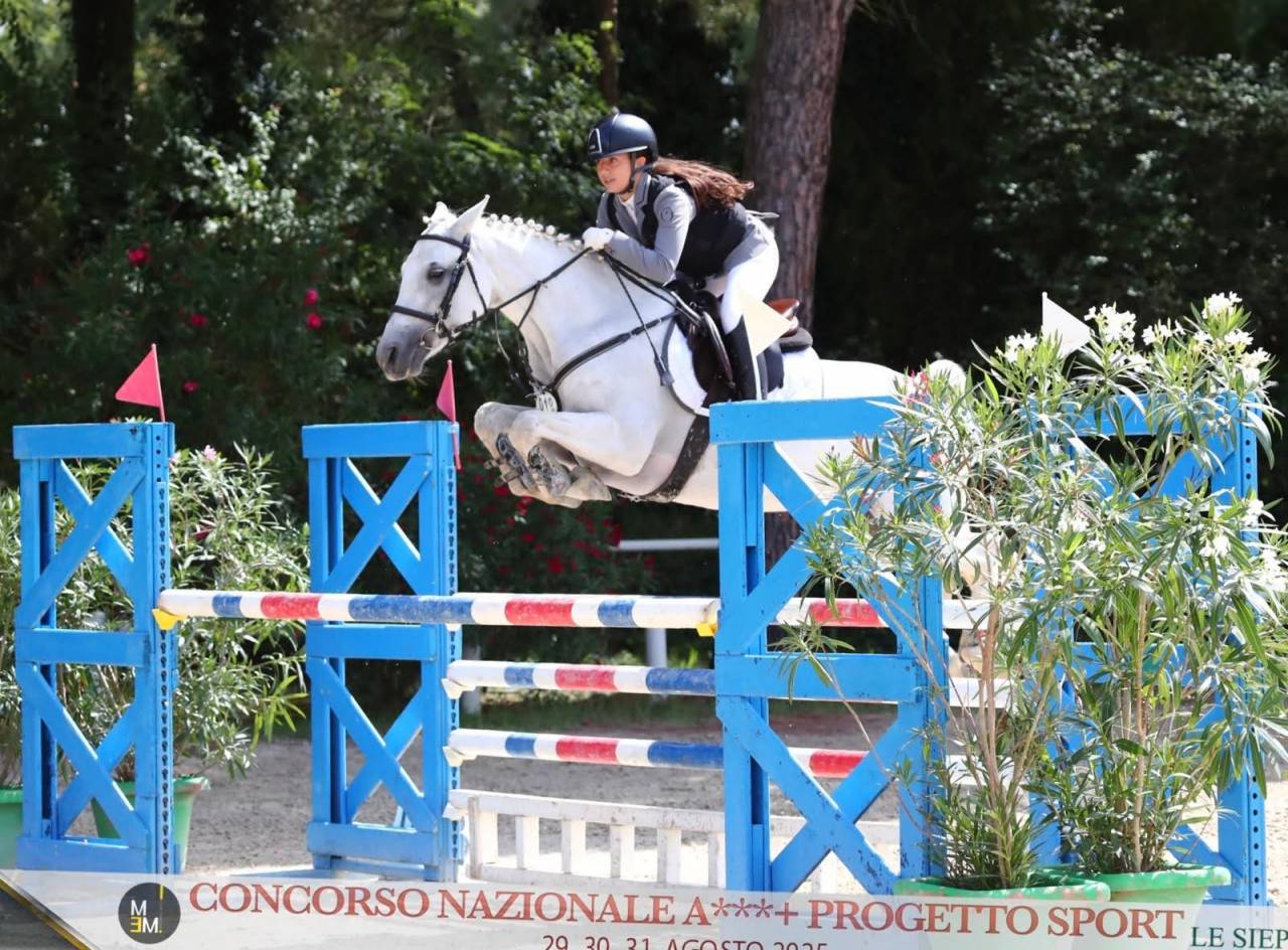 Jument Connemara A vendre 2018 Gris par GENTLE CHARLIE