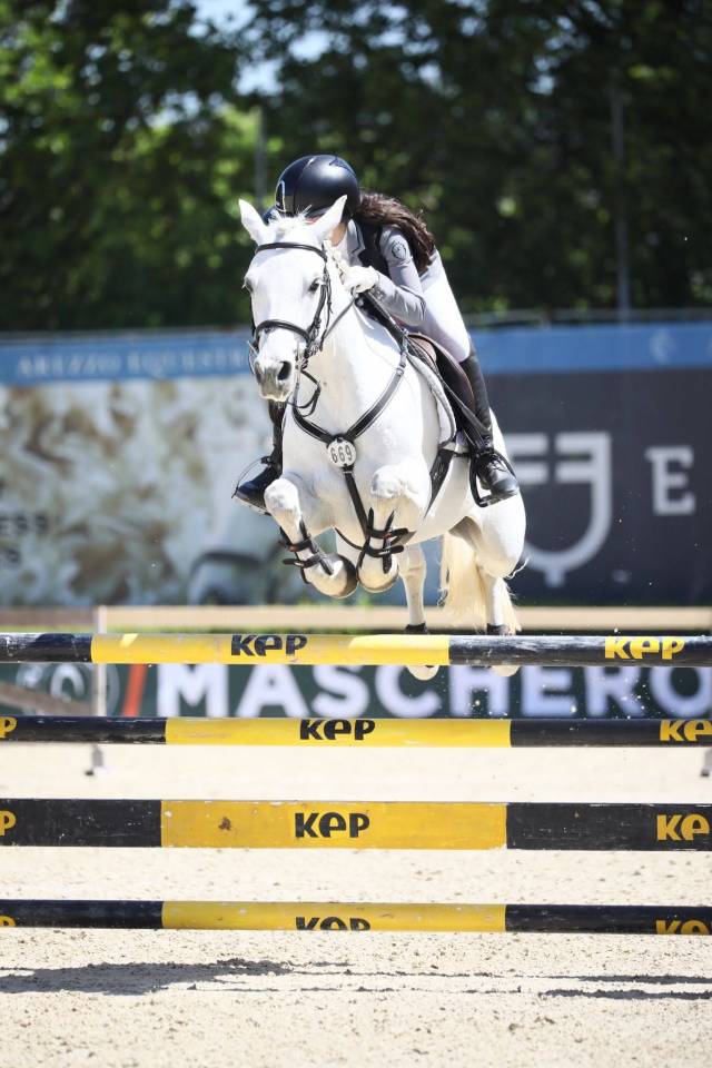 Jument Connemara A vendre 2018 Gris par GENTLE CHARLIE