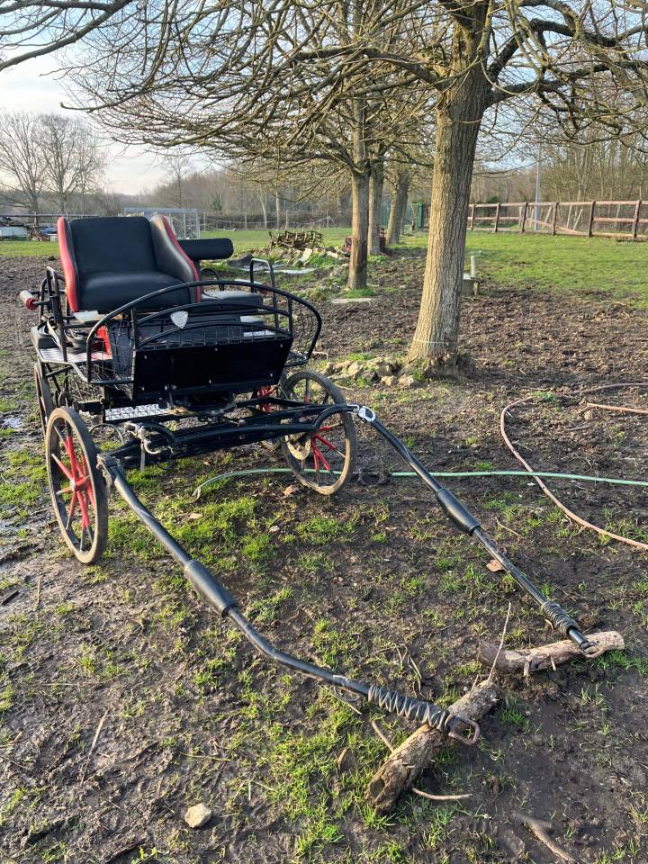 Voiture d&rsquo;attelage marathon 4 places