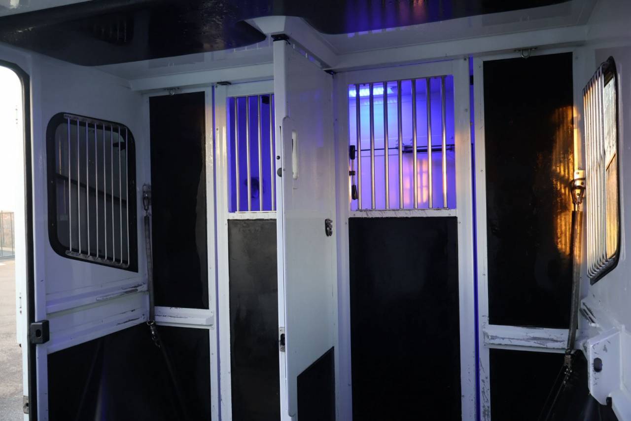 VL MASTER MTM FILOVAN STALLE 5P / VENDU