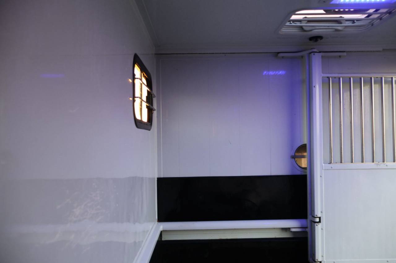 VL MASTER MTM FILOVAN STALLE 5P / VENDU