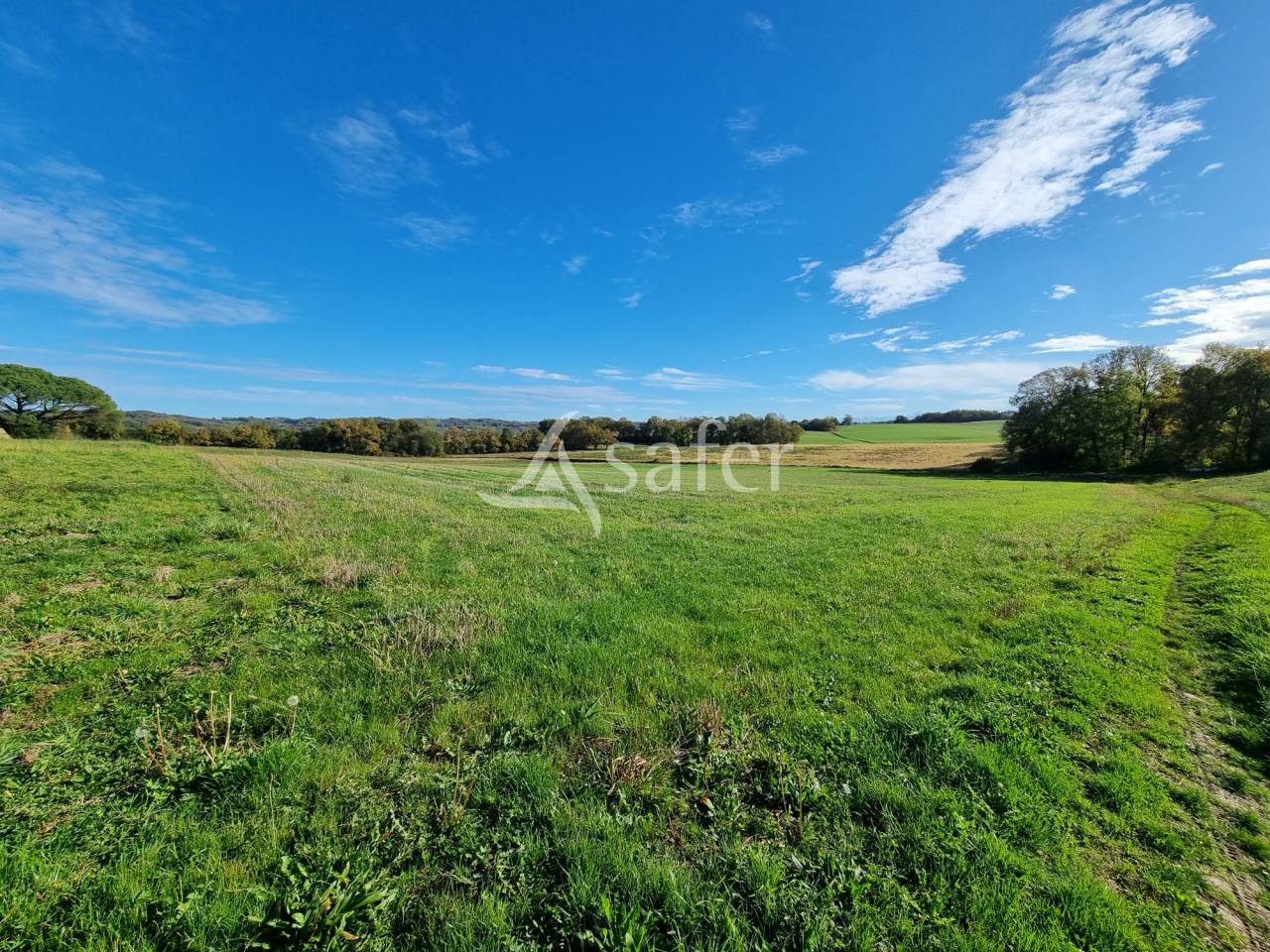 31 ha de terres agricoles avec un lac d'irrigation