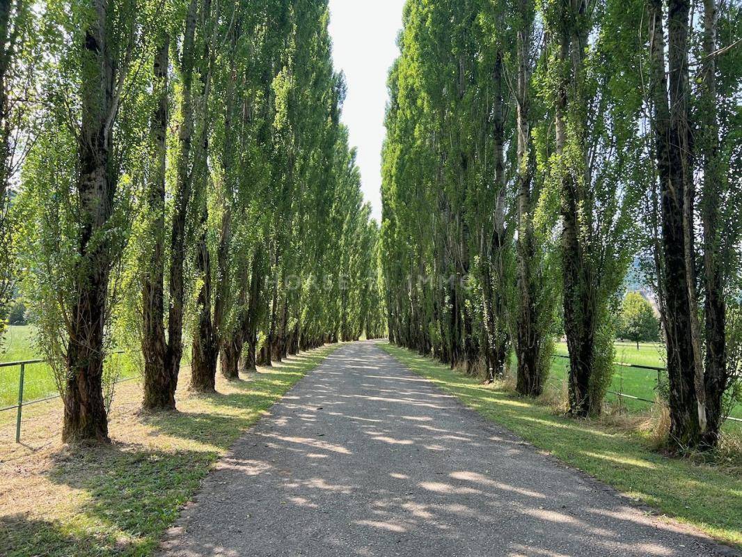 Chateau class&eacute; 130ha