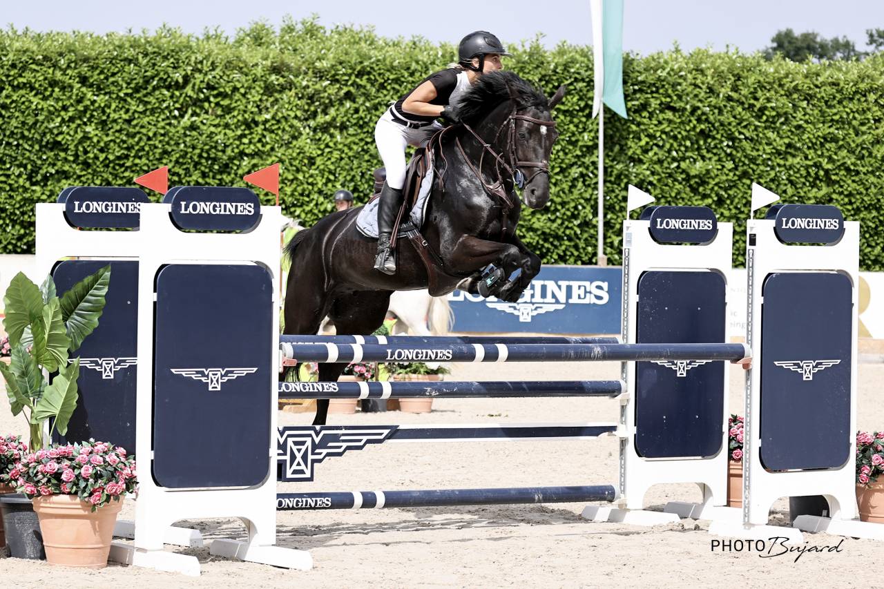 Jolie jument SF 2016