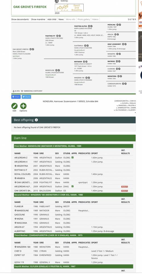 Jument d&rsquo;avenir pour sauter 135cm et +