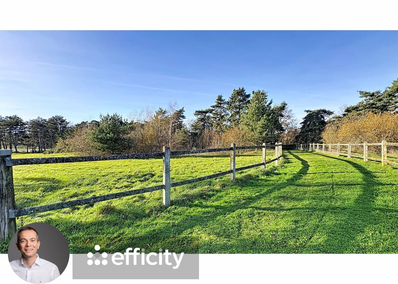 Domaine &eacute;questre d&rsquo;exception &ndash; ALLIER