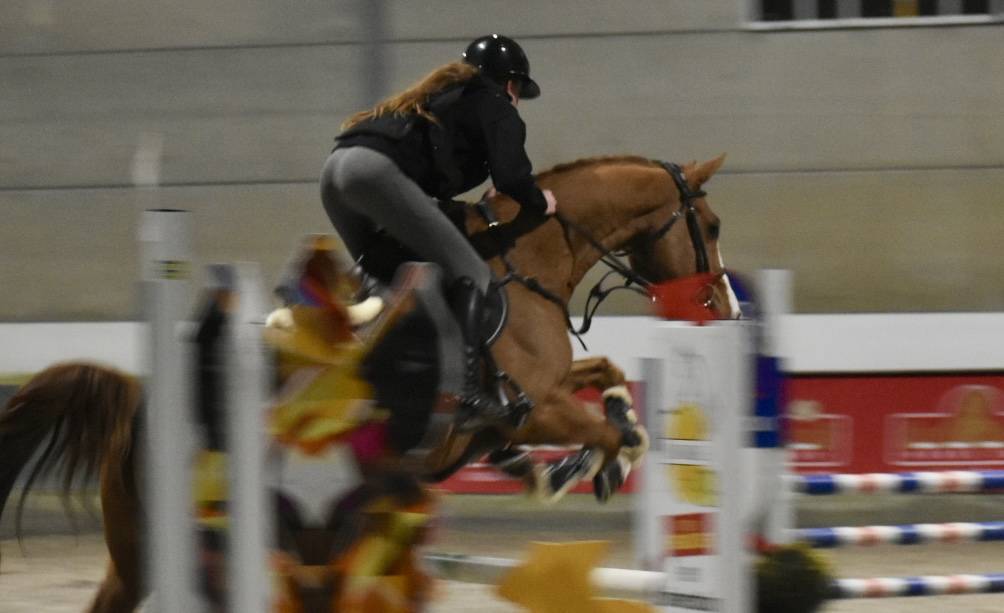 Chic petit cheval professeur 