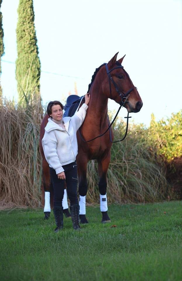 Cobalt ▫️Pure Race Espagnole 