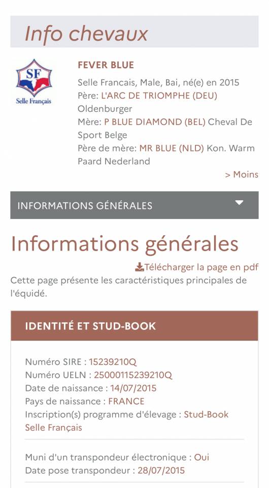 Cheval pour sauter 125/130cm 