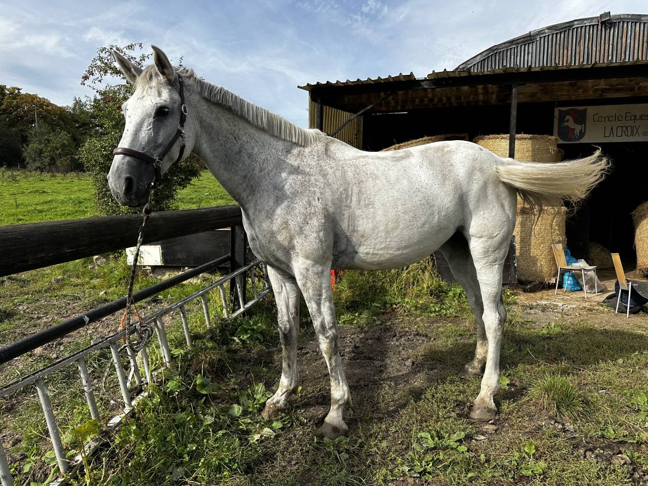 Poulini&egrave;re SBS