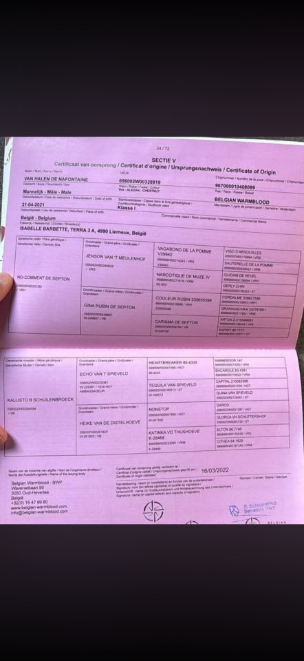 ⚡️ Van Haelen de Nafontaine ⚡️