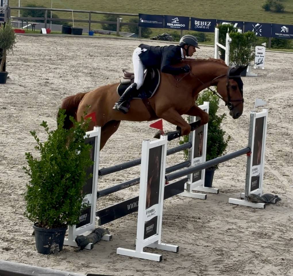 ⚡️ Van Haelen de Nafontaine ⚡️