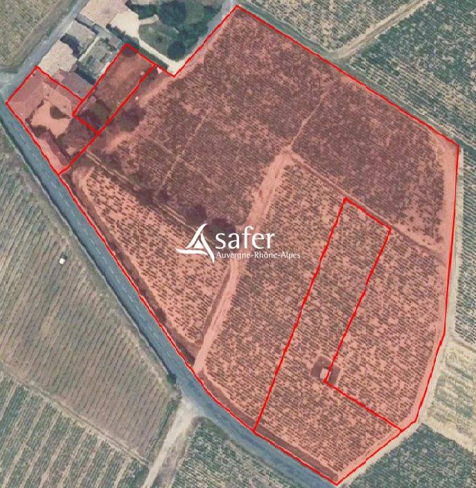 ANCIENNE PROPRIETE VITICOLE - FLEURIE