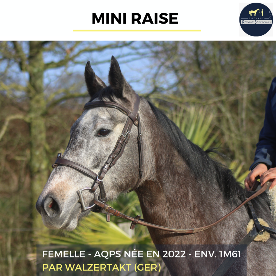 MINI RAISE - AQPS - 3 ANS