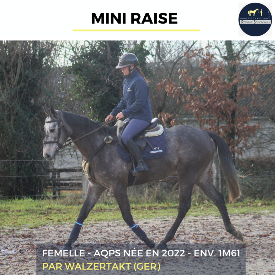 MINI RAISE - AQPS - 3 ANS