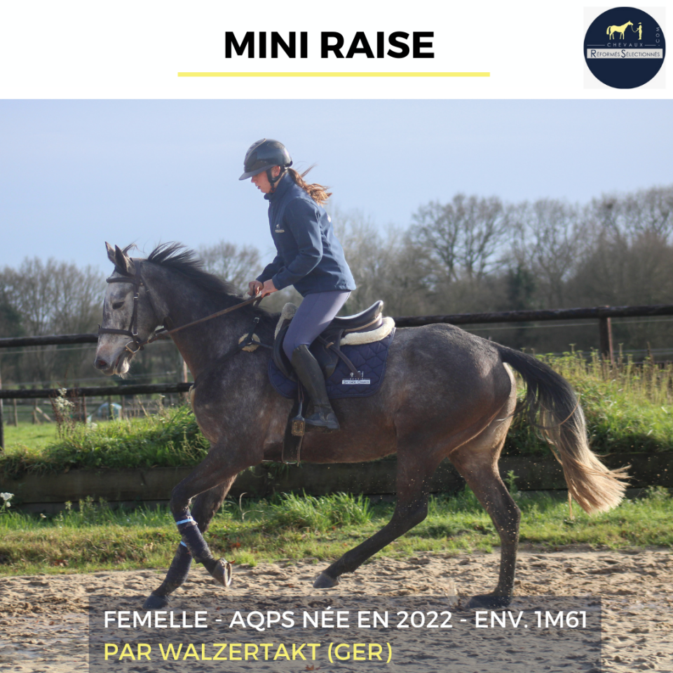 MINI RAISE - AQPS - 3 ANS