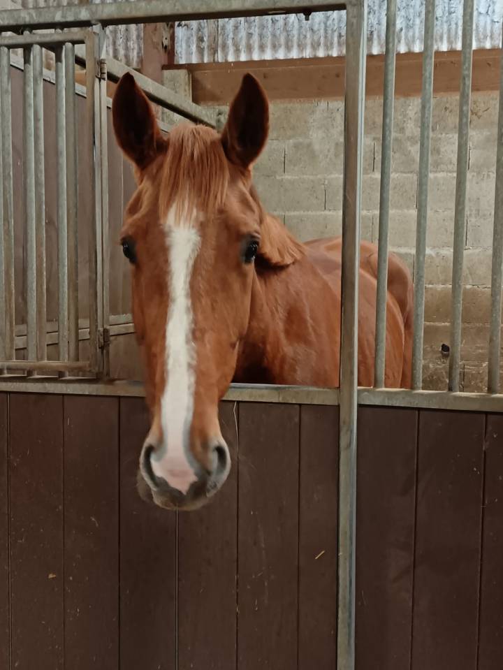 Ladiva de la combelle
