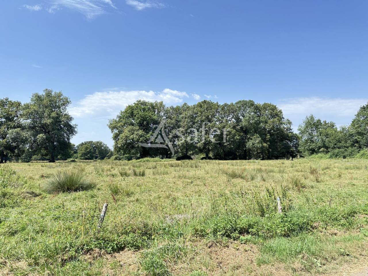 Exploitation agricole sur 79 hectares