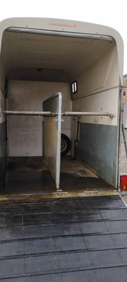 Van Henra xxl amazon