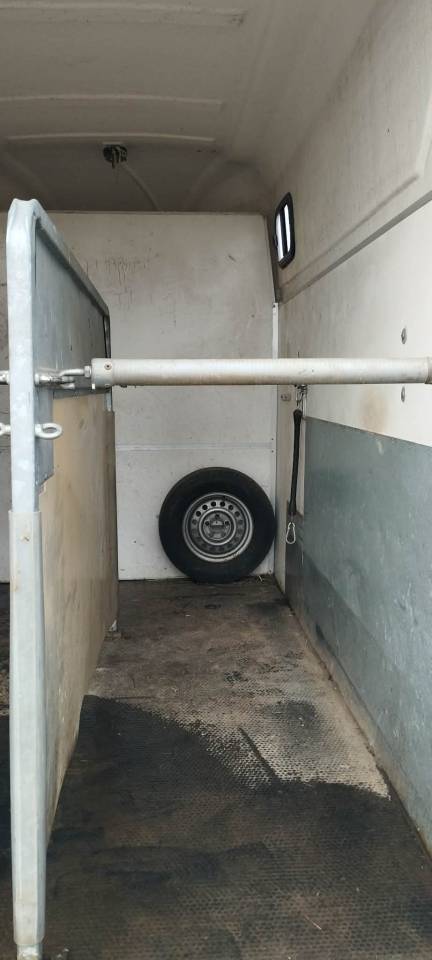 Van Henra xxl amazon