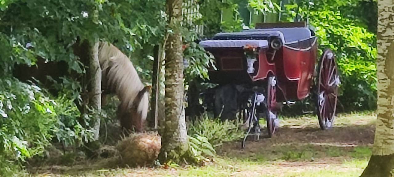 cal&egrave;che type landau