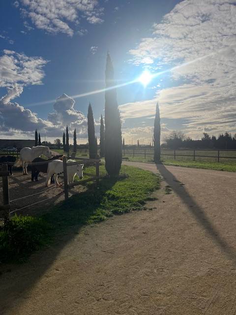 Structure &eacute;questre