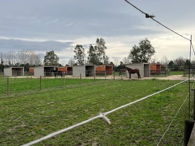 Structure &eacute;questre