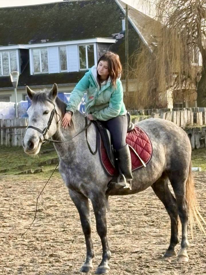 Magnifique Jument Espagnol de 6 ans 