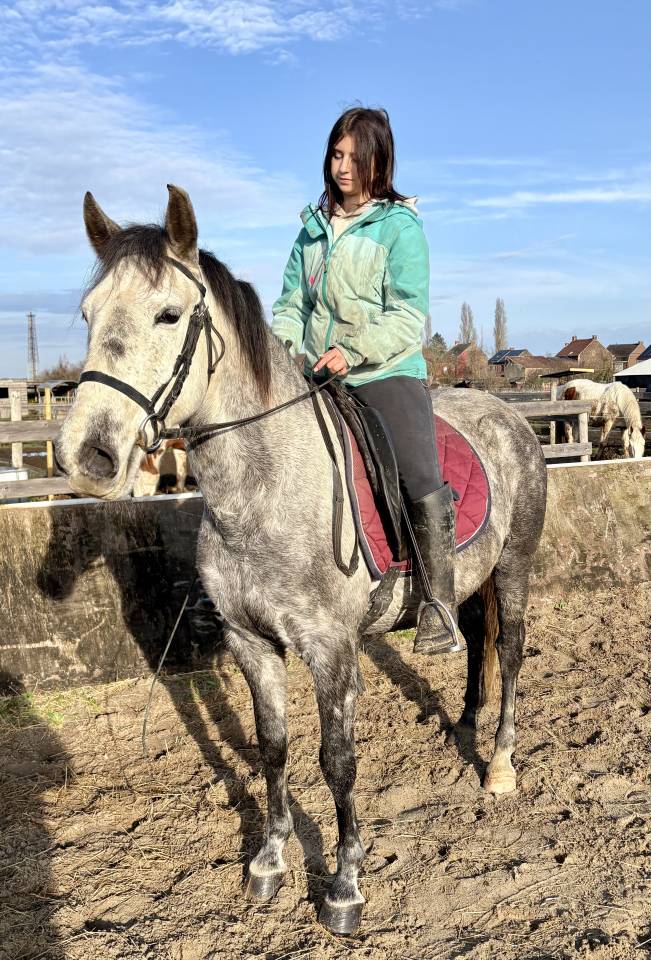 Magnifique Jument Espagnol de 6 ans 