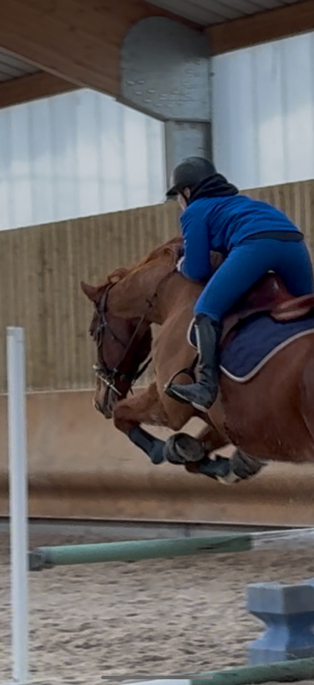 recherche d&rsquo;emploi &eacute;questre 