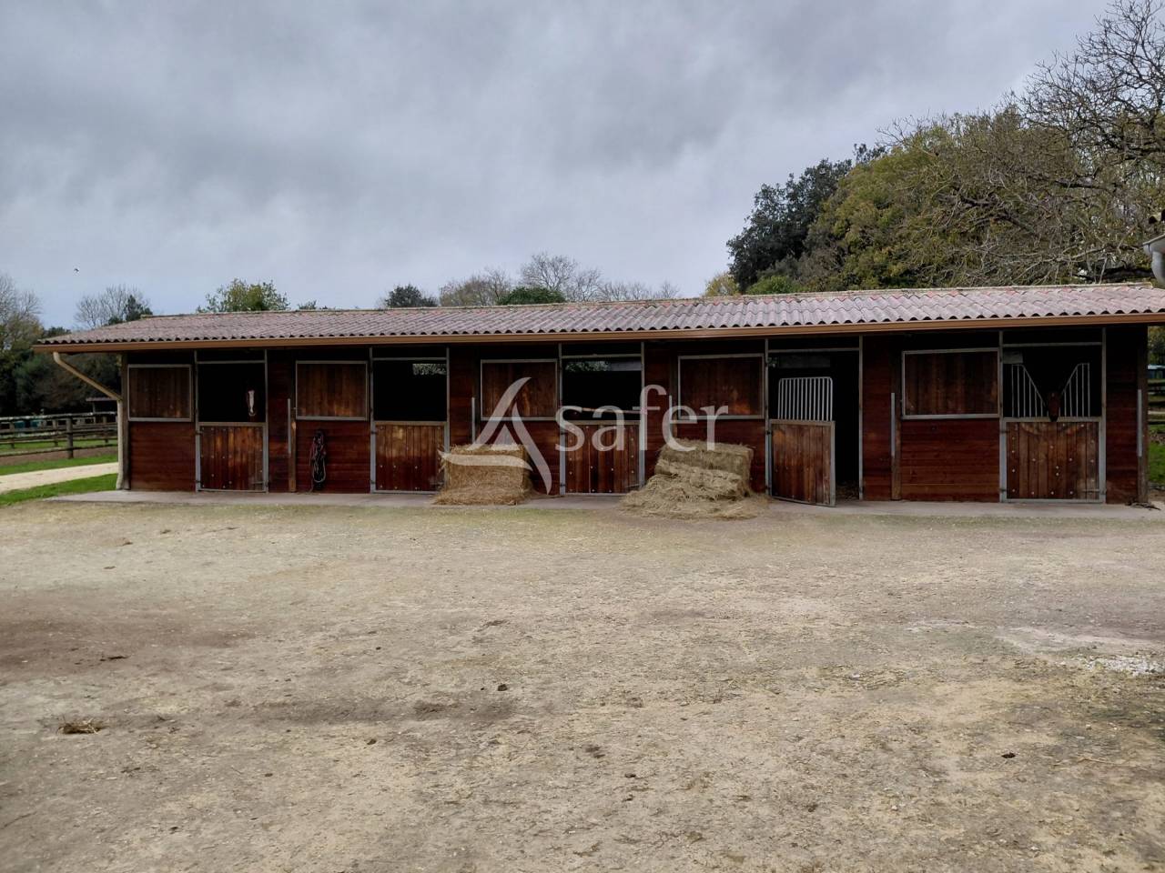 Propri&eacute;t&eacute; &eacute;questre de caract&egrave;re