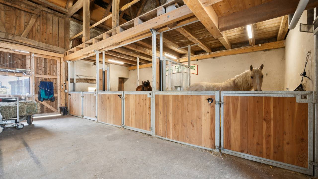 Ferme &eacute;questre r&eacute;nov&eacute;e avec 4 boxes et un paddock