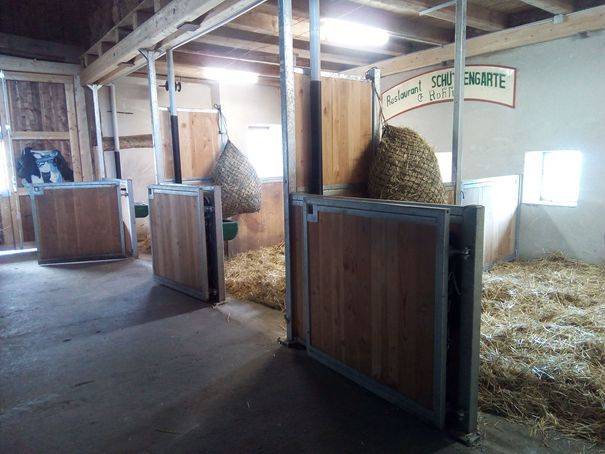 Ferme &eacute;questre r&eacute;nov&eacute;e avec 4 boxes et un paddock