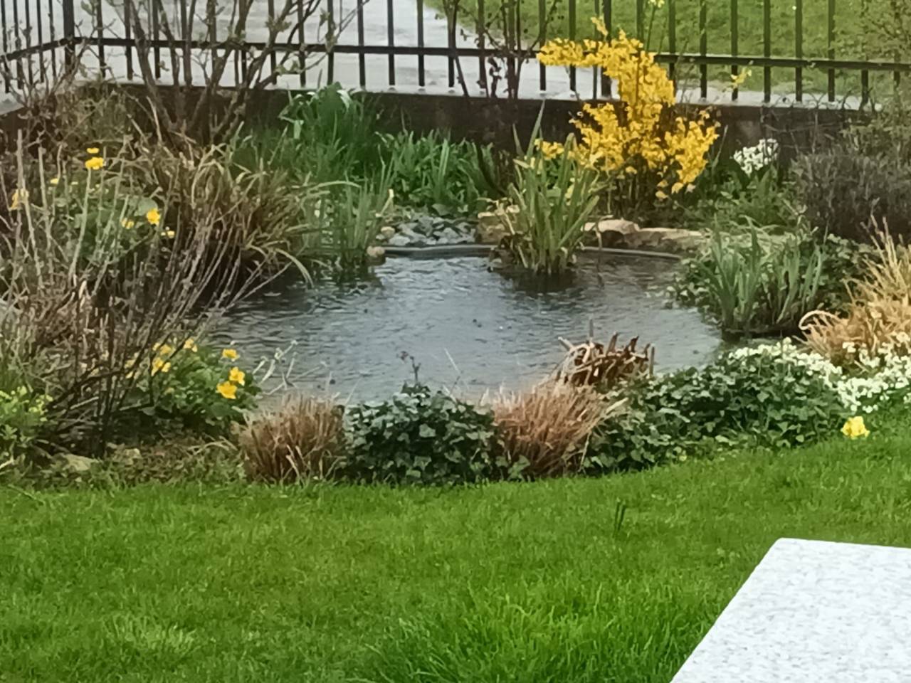 Ferme &eacute;questre r&eacute;nov&eacute;e avec 4 boxes et un paddock