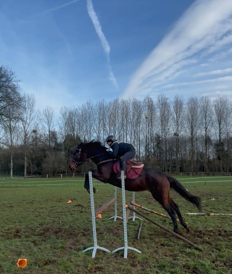 DEMI PENSION/CONFIAGE - Hongre Loisir ou Sport Club/Ama