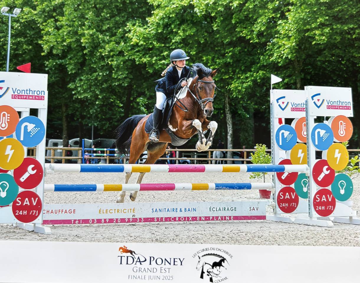 Jument 11 ans loisirs ou cso