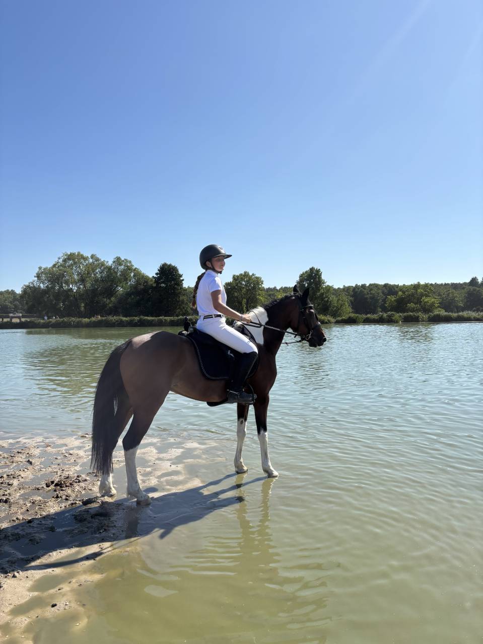 Jument 11 ans loisirs ou cso